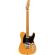 Comprar guitarra eléctrica Fender Player Plus Telecaster MN Butterscotch Blonde