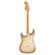 Guitarra eléctrica Fender 70th Anniversary Antigua Stratocaster RW