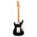 Guitarra eléctrica Fender 70th Anniversary Player Stratocaster RW NN